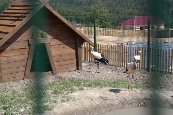 Парк птиц в Златоусте