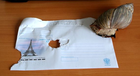 Что такое Snail mail в действии