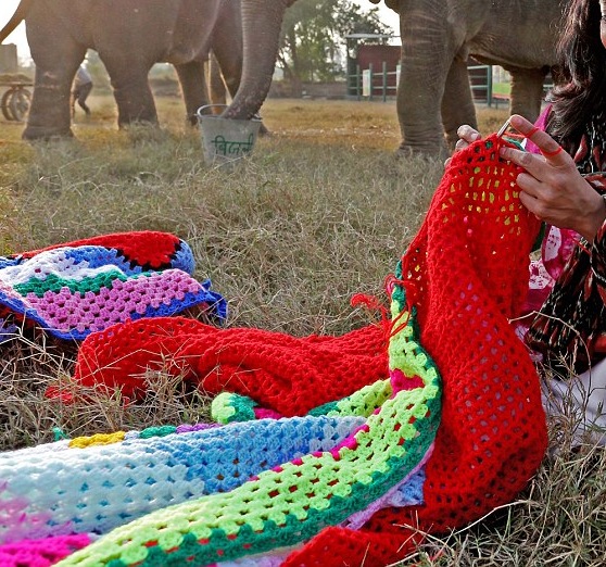 Загадочные картинки: вязание для слонов спицами или крючком?